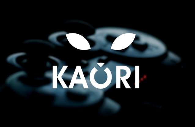 Video game developer logo, Cat logo