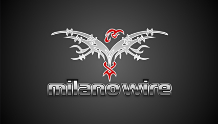 wire logo, eagle logo design, wire fencing logo
